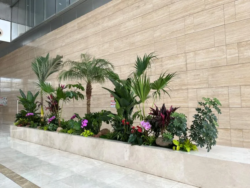 探寻杭州湾花卉租赁价格的秘密